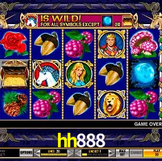 Descubra o Mundo do Cassino Online com hh888